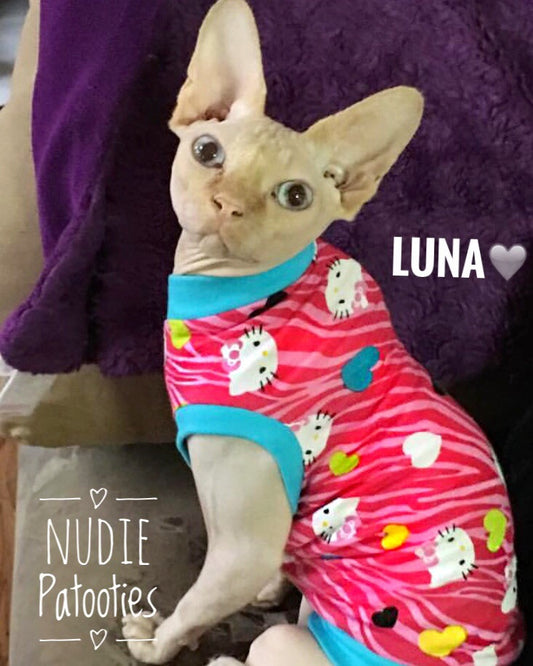Hello Kitty Pink Zebra - Nudie Patooties