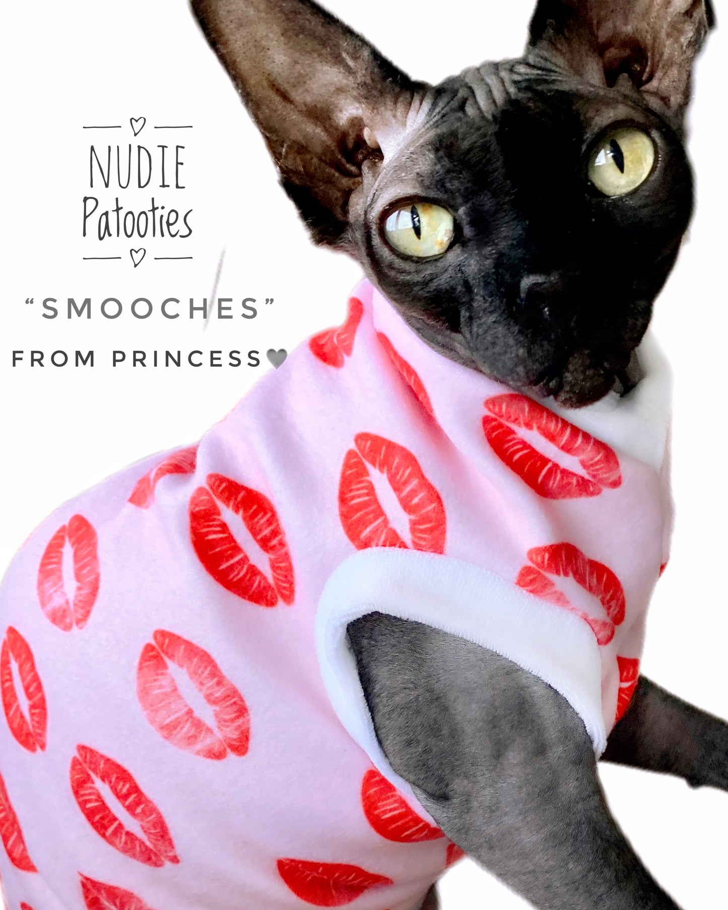 sphynx and kitten cat shirt.  sphynx cat clothes