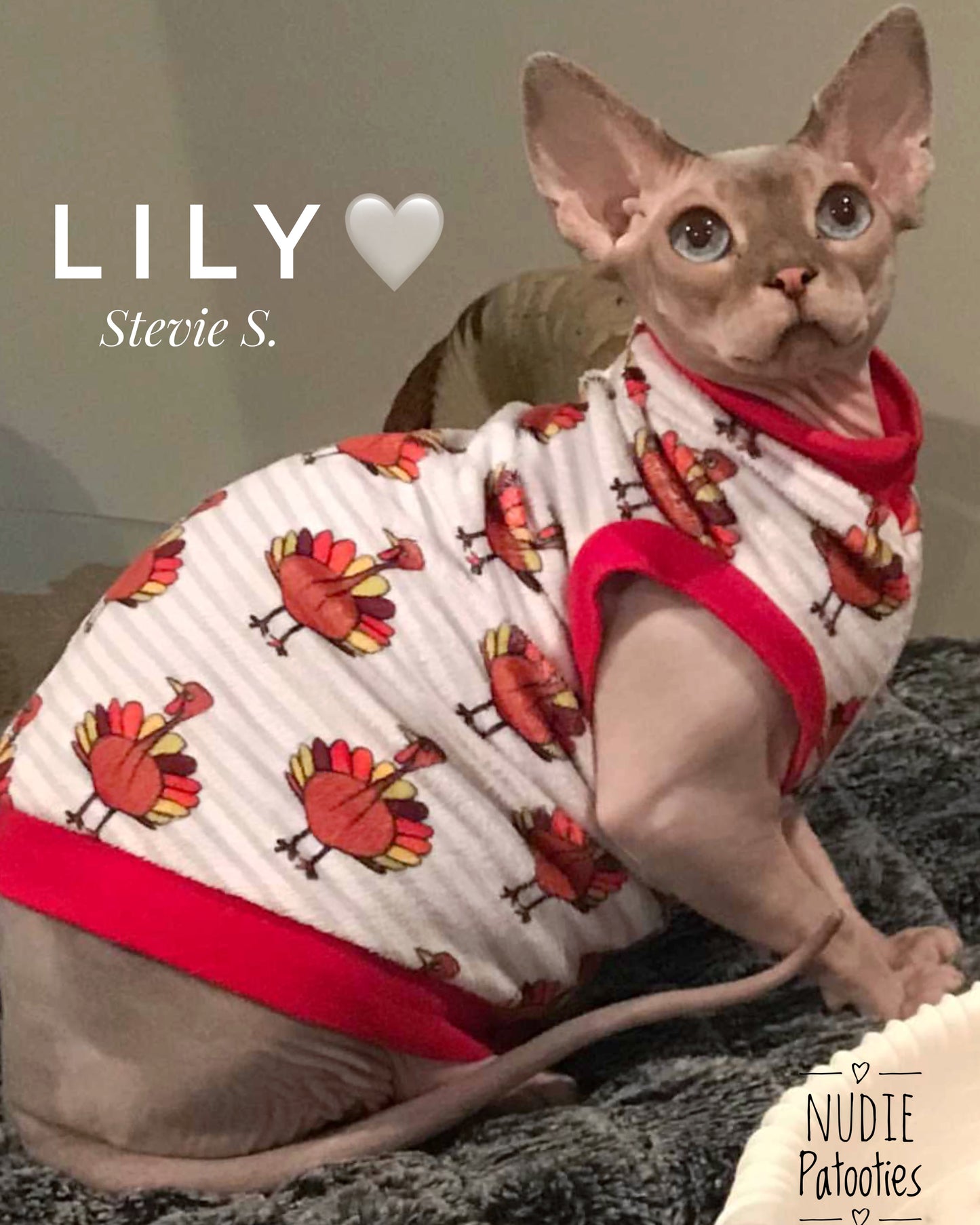 Minky Stripe Thanksgiving Turkeys