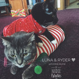 Christmas Red and White Stripe Shirt "Santa's Little Helper" - Nudie Patooties  Sphynx cat clothes for your sphynx cat, sphynx kitten, Donskoy, Bambino Cat, cornish rex, peterbald and devon rex cat. 