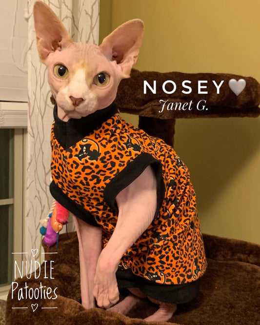 Sphynx cat and kitten halloween shirt.  Sphynx Cat Clothes
