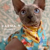 Sphynx cat clothes, shirts and sweaters. 