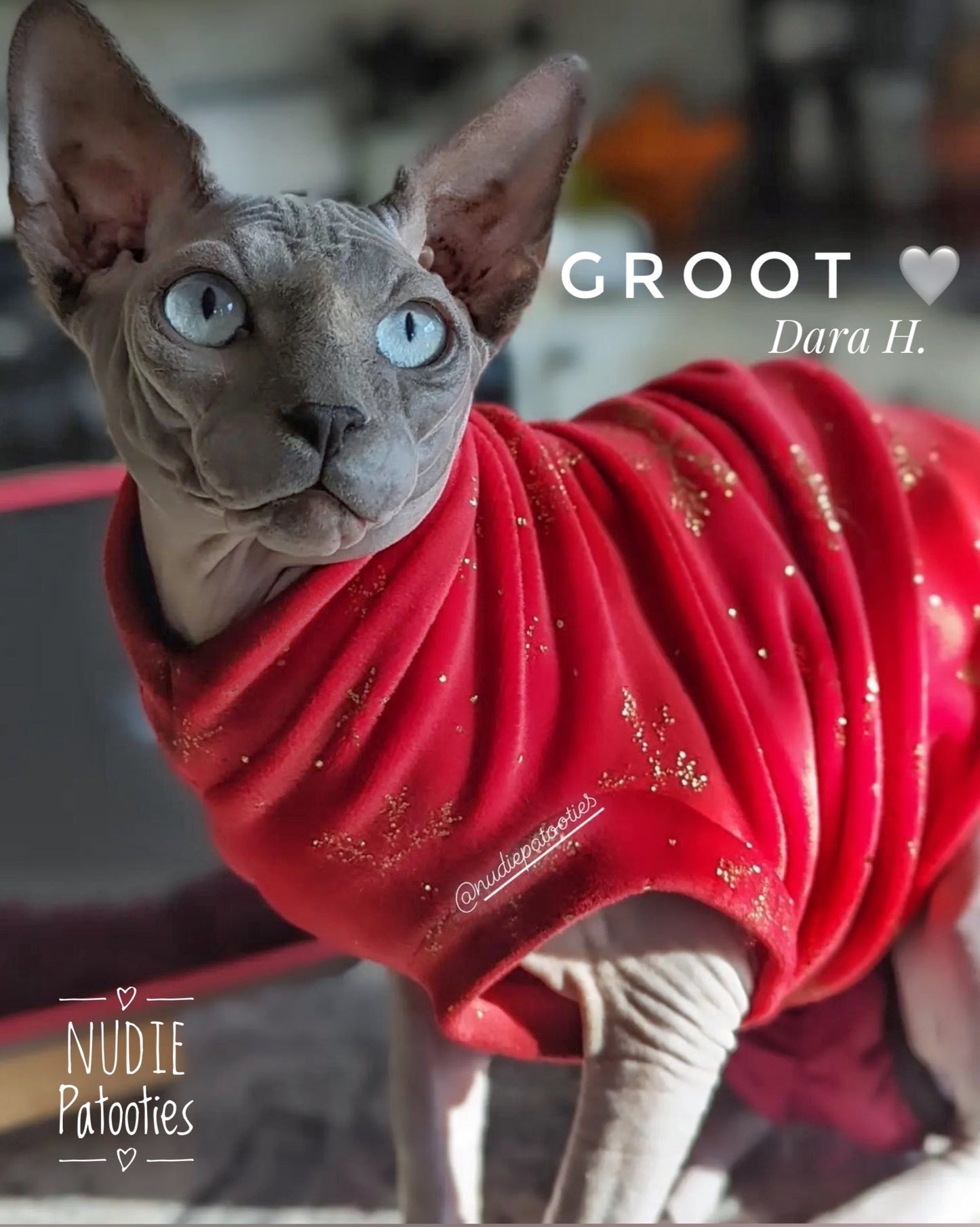 Red w/Gold Metallic Snowflakes Micro Fleece "Sparkly Snowflakes"