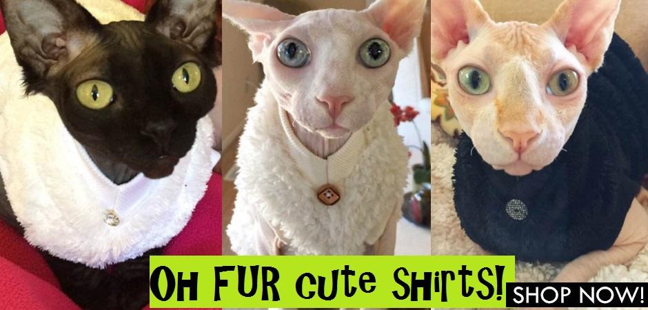 Sphynx Clothes l Cat Sweaters l Sphynx Shirts l Clothes For Cats